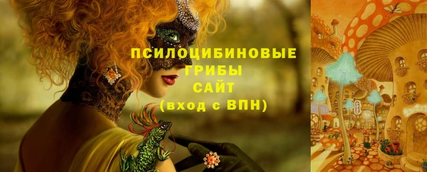 дмт Абинск
